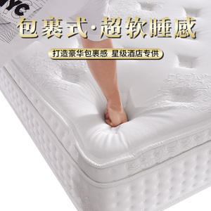 透气防螨五星级酒店床垫软垫30CM厚静音弹簧乳胶大牌平替席梦思
