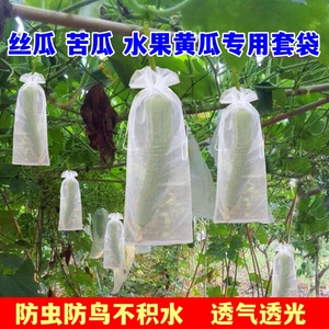 苦瓜水果黄瓜透气网套袋丝瓜青瓜套袋专用袋防虫鸟袋子保护