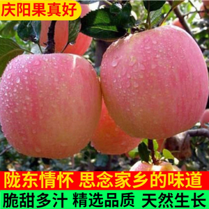 甘肃庆阳苹果新鲜红富士果真好天然不套袋天然水果脆甜10斤整箱