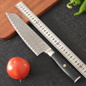 全新外贸67层大马士革VG10钢切付刀G10柄切牛肉片鱼西式料理厨刀