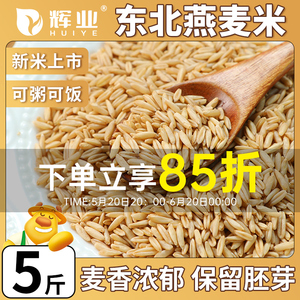 辉业东北燕麦米生燕麦仁新米2023年新五谷杂粮米饭糙米有机非胚芽