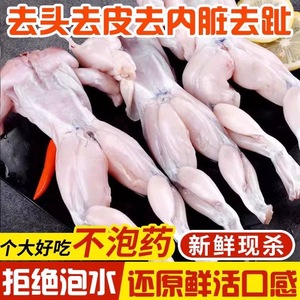 鲜活牛蛙新鲜特大田鸡蛙肉半成品牛蛙腿牛蛙肉冷冻商用顺丰包邮