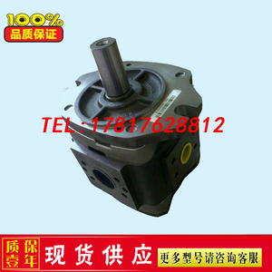高压注塑机齿轮泵IPV6-64/80/100/125-101塑胶机械伺服电机液压泵
