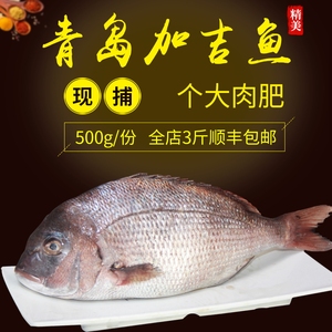 上鯛 深海魚 - 最高の花の画像