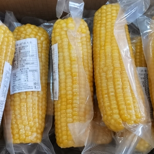 德乐圆黄金玉米非转基因东北吉林公主岭鲜糯玉米真空包装 玉米