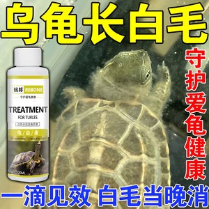 乌龟水霉病四肢身上长白毛白斑巴西龟草龟灭霉菌发霉专用龟长毛药