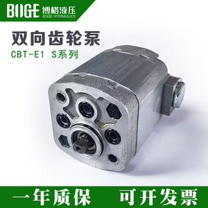CBT-E系列双向齿轮泵 小型大流量高压油泵 动力单元齿轮泵 批量价