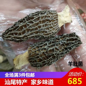 汕尾特产海鲜干货海丰陆丰   高山精选羊肚菌 500克