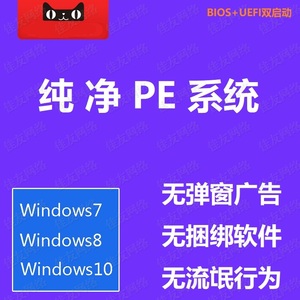 纯净U盘PE系统启动制作工具 winpe软件系统重装固态PE工具无广告