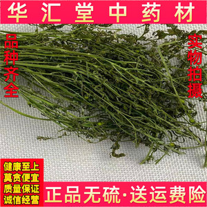 百蕊草 中药材 精选百蕊草 麦黄草 百乳草 小草 青龙草 500克包邮