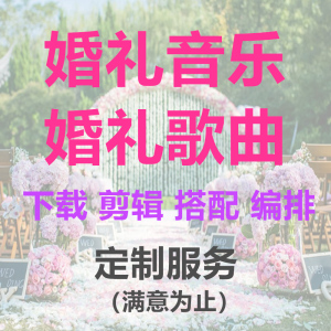 定制做抖音小红书婚礼歌单婚礼歌曲音乐MP3格式自定义下载剪辑