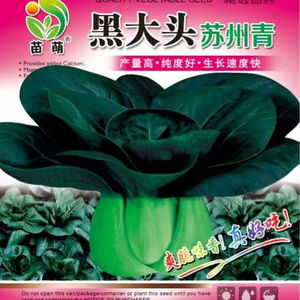 苏州青油菜种子大全小白黑油上海青蔬菜籽四季正宗秋冬季种孑农家