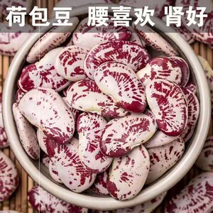 荷包豆种子豆种子高产长寿豆种子大肾豆皇帝豆种子蔬菜种子