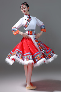藏族舞蹈演出服装广场舞半身裙民族风表演服饰学生艺考练功练习裙