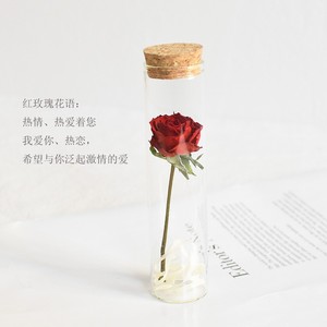 网红玫瑰花满天星小花束干花玻璃罩摆件包装送女友送闺蜜朋友礼物