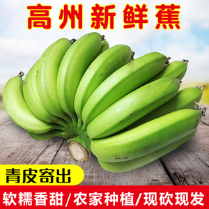 包邮广东高州香蕉banana新鲜水果无催熟剂非米蕉粉蕉芭蕉4.5斤