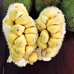 海南三亚新鲜水果榴莲蜜菠萝蜜一个装香甜品质