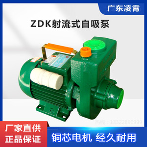 2ZDK广东凌霄家用自吸水泵单相电动增压循环大流量高扬程机械密封