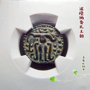 锡兰岛章鱼人铜币 萨哈萨马拉时期1马萨 朱罗王朝币型 传世精品
