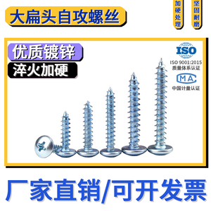 上海加硬大扁头自攻螺丝镀锌十字淬火扁圆大头蘑菇木螺钉M3M4M5M6