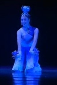 桃李杯舞蹈大赛《马兰花》舞蹈表演服装现代舞蹈服装舞台表演服装