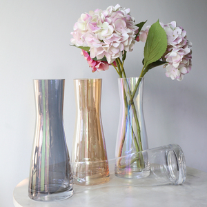 透明圆形玻璃花瓶台面摆件花器 小清新百合插花瓶子 简约小蛮腰瓶