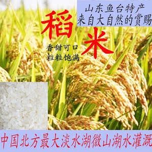 鱼台大米5kg粳米稻花香米10斤农家新米山东珍珠米长粒香非东北米