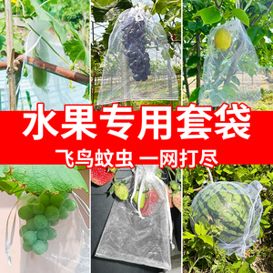 水果套袋防鸟防虫专用网袋葡萄无花果瓜果枇杷草莓杨桃子保护袋子
