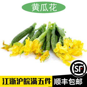 新鲜小黄瓜花丝瓜花500g迷你嫩小黄瓜顶花嫩黄瓜西餐酒店特菜