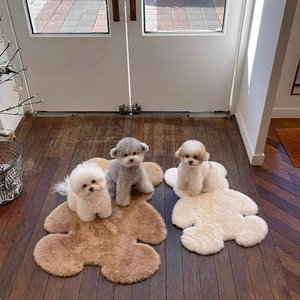 韩国小熊人形仿兔毛绒地毯床边毯座椅垫宠物毯子