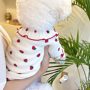 夏季薄款花边草莓宠物泰迪比熊猫猫咪雪纳瑞贵宾小型犬狗狗衣服