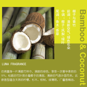 DY晚安阿紫椰子青竹蜡烛香薰精油美国无火香薰材料bamboo&coconut