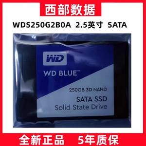 WD/西部数据 SA510 250G 500G 1T固态硬盘蓝盘SATA3台式机硬盘2TB