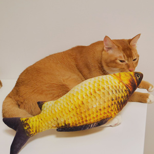 猫玩具鱼猫薄荷鱼3D仿真鱼抱枕猫咪逗猫棒卡通鲫鱼布娃娃磨牙