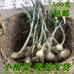 东北山野菜小根菜新鲜大脑泵野生小根蒜蘸酱山菜现挖现卖500g包邮