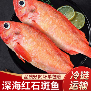 5斤红石斑鱼整条水产新鲜冷冻野生大龙胆富贵鱼红鱼海产大眼鸡鱼