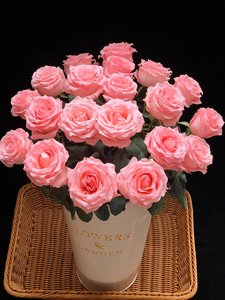 A级戴安娜玫瑰坦尼克玫瑰鲜切花搭配花束云南基地直发