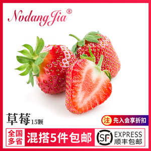 云南奶油草莓新鲜1盒装/280g巧克力草莓大果当季水果酸草莓店用