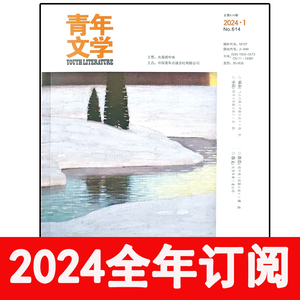 青年文学杂志2024年1-9期小说月报作家微型长篇选刊