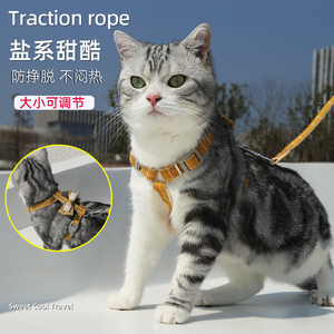 猫咪牵引绳防挣脱猫咪外出防丢猫绳子专用牵引猫背带链子遛猫绳