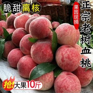 桃子新鲜水果当季整箱10斤脆甜红心肉血桃水蜜桃毛桃黄时令5现摘