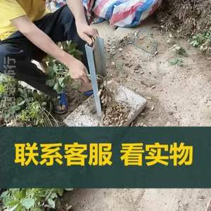 打摘拔家用自动摘果扯机拔工具机器脱粒机脱收获扒收花生神器拨脱