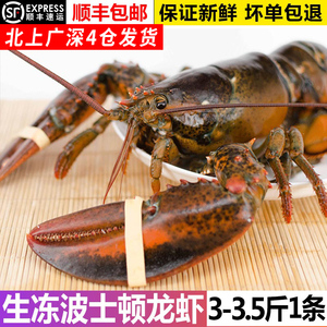 新鲜冷冻波士顿龙虾海鲜水产鲜活10超特大帝王蟹澳洲澳大利亚3斤