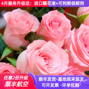 戴安娜玫瑰花鲜花直批新鲜花束插花真花水养斗南直发云南昆明市场
