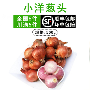 迷你小洋葱头 干毛葱 小毛葱 红洋葱头 干葱头香料配料蔬菜500g