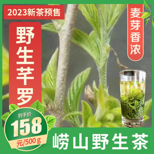 青岛正宗2023年新茶崂山野生芊罗茶道家茶又名甘枣叶深山叶500g