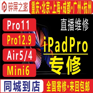 维修 iPadPro11寸 12.9寸 换外屏 触摸 漏液 背光 Air4/5 Mini6