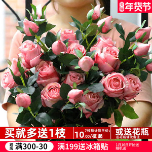 玫瑰花背景 玫瑰花背景品牌 价格 阿里巴巴 玫瑰花背景 玫瑰花背景品牌 价格 阿里巴巴