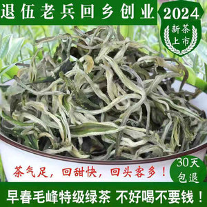 绿茶2024年新茶云南春尖毛峰毛尖绿茶罐罐茶叶特级浓香型散装500g