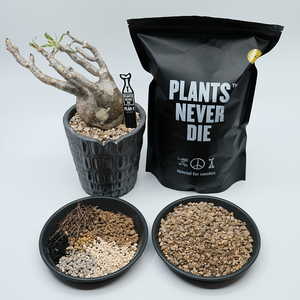 pnd块根植物专用土造景天然多肉营养土化妆沙透气景天仙人球配土